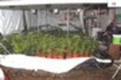 Drugs gang feel full force of the law in sentencing